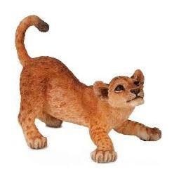 Lionceau jouant - IkaIpaka Royan