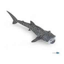Requin baleine papo - IkaIpaka Royan