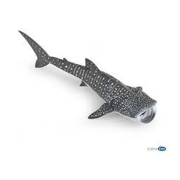Requin baleine papo - IkaIpaka Royan