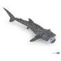 Requin baleine papo - IkaIpaka Royan