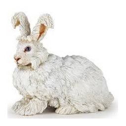 Lapin Angora papo - IkaIpaka Royan