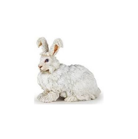 Lapin Angora papo - IkaIpaka Royan