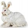 Lapin Angora papo - IkaIpaka Royan