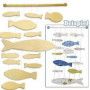 Kit mobile en bois poissons - IkaIpaka Royan