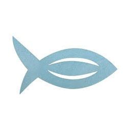 Pinces en bois poissons - IkaIpaka Royan