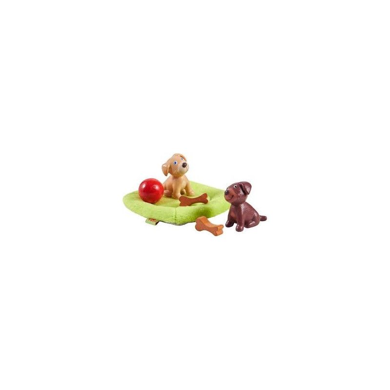Little friends chiots - IkaIpaka Royan