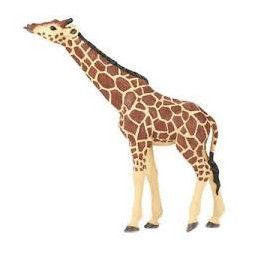 Girafe tête levée papo - IkaIpaka Royan