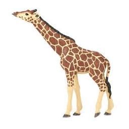 Girafe tête levée papo - IkaIpaka Royan