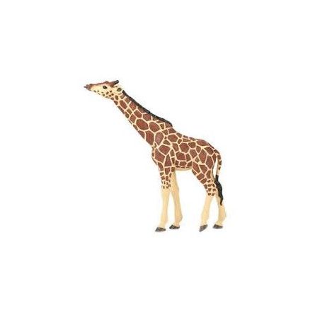 Girafe tête levée papo - IkaIpaka Royan