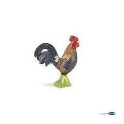 Coq gaulois papo - IkaIpaka Royan
