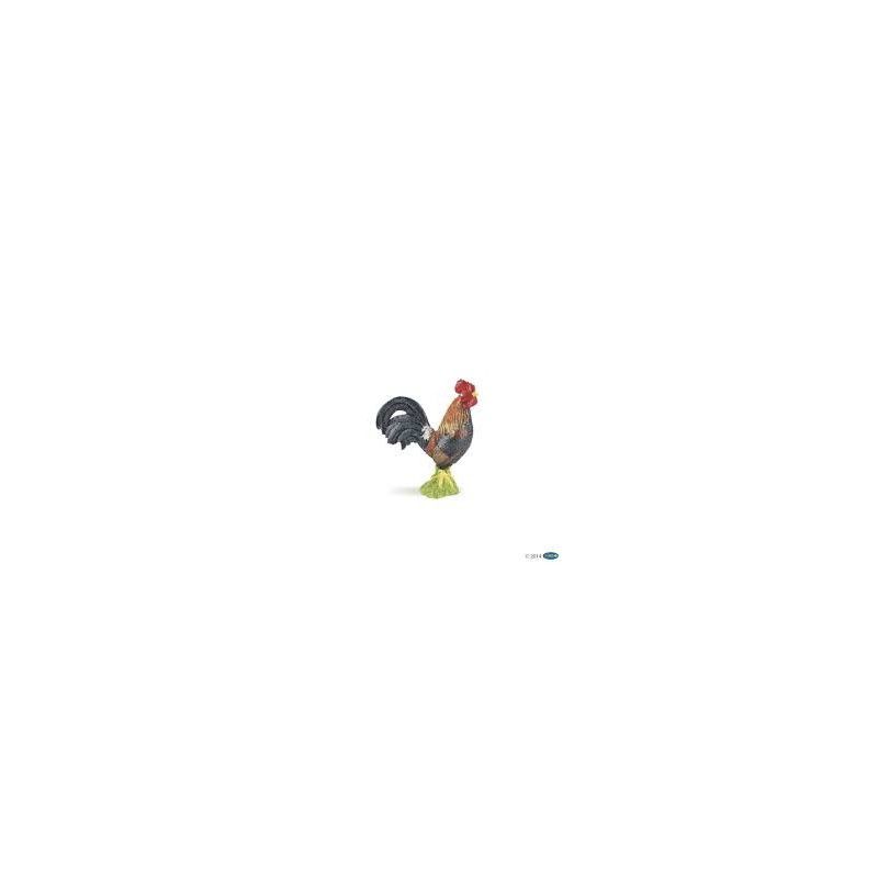 Coq gaulois papo - IkaIpaka Royan