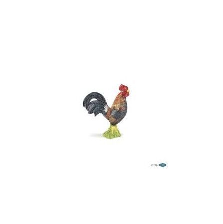 Coq gaulois papo - IkaIpaka Royan