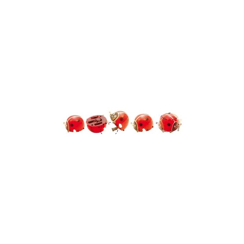 Coccinelles qui se retourne - IkaIpaka Royan
