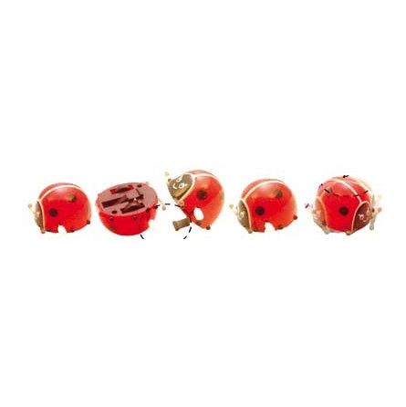 Coccinelles qui se retourne - IkaIpaka Royan