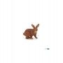 Lapin marron - IkaIpaka Royan
