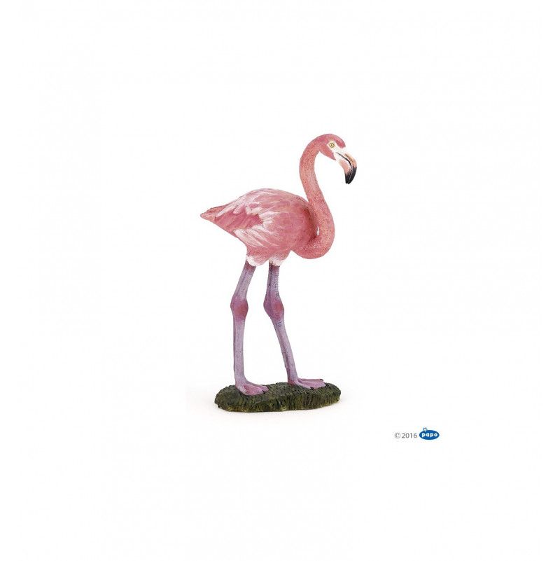Flamant Rose - IkaIpaka Royan