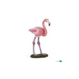 Flamant Rose - IkaIpaka Royan