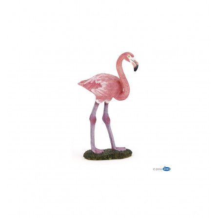 Flamant Rose - IkaIpaka Royan