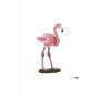 Flamant Rose - IkaIpaka Royan