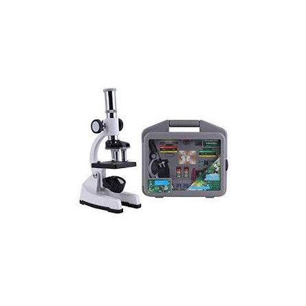 Microscope X 450 - IkaIpaka Royan