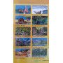 10 Magicartes Zoo Editions Bonne Anse Ikaipaka jeux & jouets