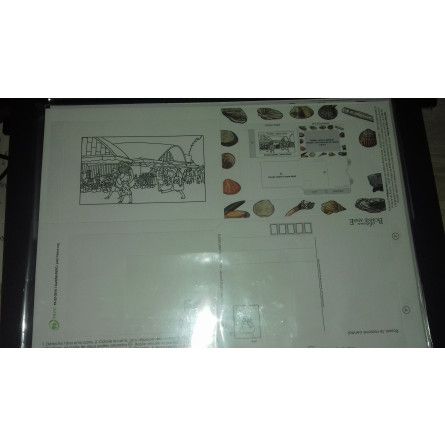 MagiCarte Marché Editions Bonne Anse Ikaipaka jeux & jouets