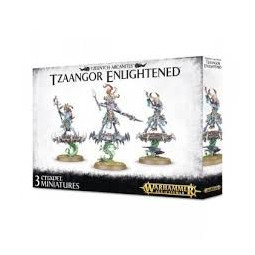 TZEENTCH ARCANITES TZAANGOR ENLIGHTENED Warhammer Ikaipaka jeux