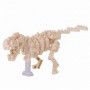 Nanoblock T rex skeleton - IkaIpaka Royan