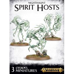 NIGHTHAUNT SPIRIT HOSTS - IkaIpaka Royan