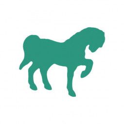 Perforatrice petite verte - cheval 1 - IkaIpaka Royan