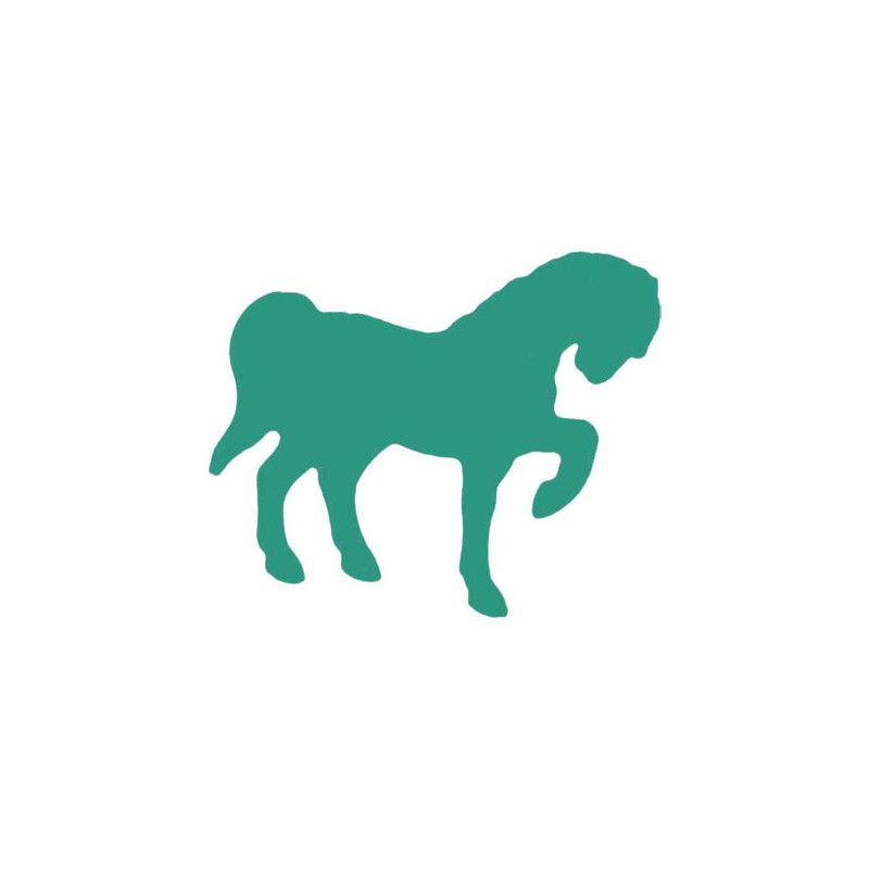 Perforatrice petite verte - cheval 1 - IkaIpaka Royan