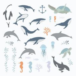 Formes papier - Deep Sea - IkaIpaka Royan