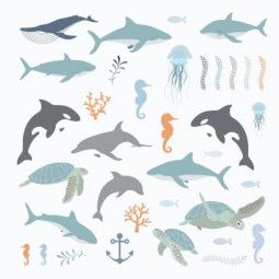 Formes papier - Deep Sea - IkaIpaka Royan
