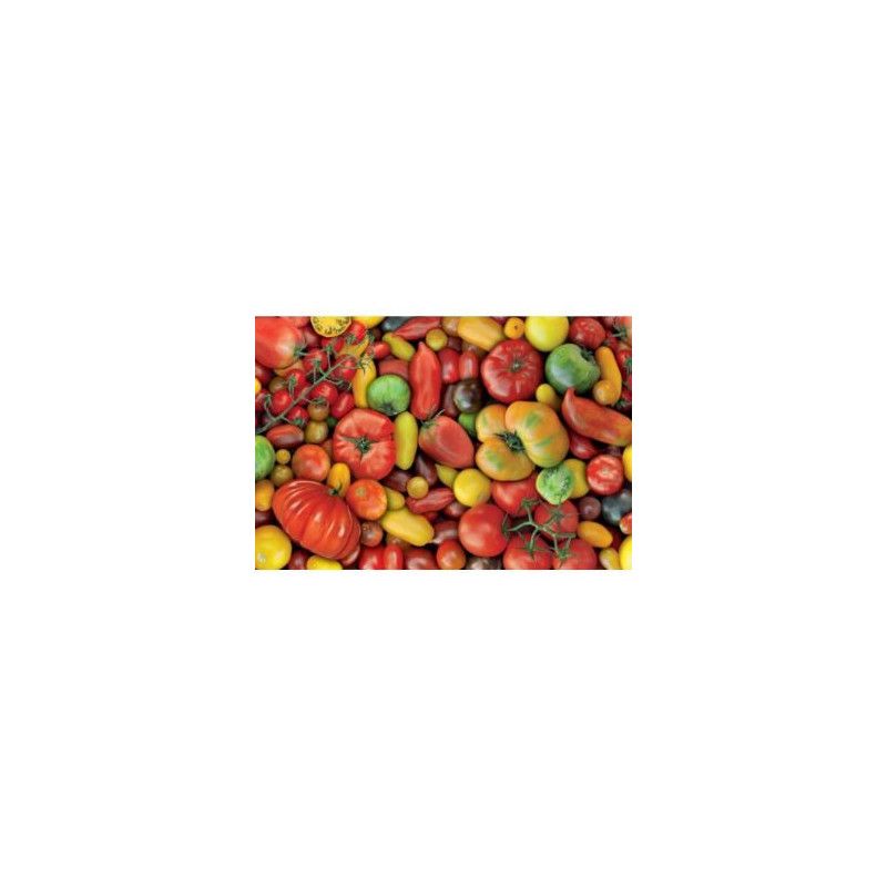 Puzzle 1000 Tomates Piatnik Ikaipaka jeux & jouets Royan