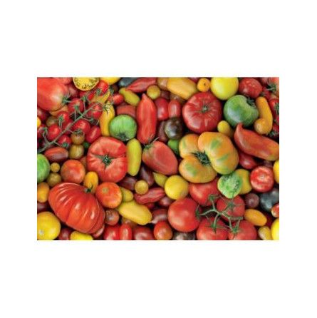 Puzzle 1000 Tomates Piatnik Ikaipaka jeux & jouets Royan