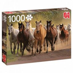 Puzzle - 1000 - Un groupe de chevaux - IkaIpaka Royan