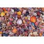 Puzzle 1000 Coquillages Piatnik Ikaipaka jeux & jouets Royan
