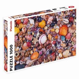 Puzzle 1000 Coquillages Piatnik Ikaipaka jeux & jouets Royan