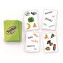 Tam Tam - Safari - Jeu de lecture et de rapidité - CP niveau 1 - IkaIpaka Royan