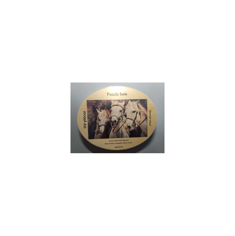 Puzzle - 370 - Chevaux - IkaIpaka Royan