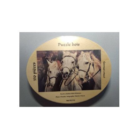 Puzzle - 370 - Chevaux - IkaIpaka Royan