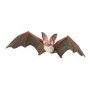 Chauve-souris papo Papo Ikaipaka jeux & jouets Royan