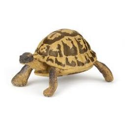 Tortue d'hermann papo Papo Ikaipaka jeux & jouets Royan