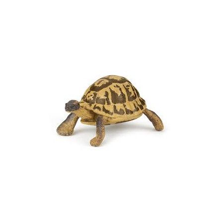 Tortue d'hermann papo Papo Ikaipaka jeux & jouets Royan