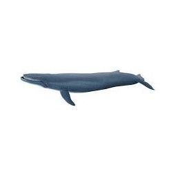 Baleine bleu papo Papo Ikaipaka jeux & jouets Royan