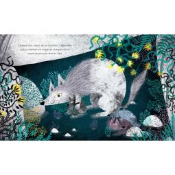 Livre Une peur de Loup Sassi Ikaipaka jeux & jouets Royan