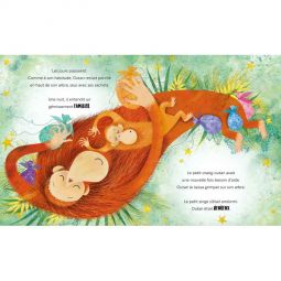 Livre Une jalousie d'Orang-outan Sassi Ikaipaka jeux & jouets