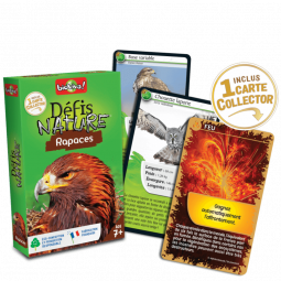 Défis Nature Rapaces Bioviva Ikaipaka jeux & jouets Royan