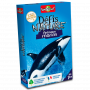 Défis Nature Animaux Marins Bioviva Ikaipaka jeux & jouets Royan