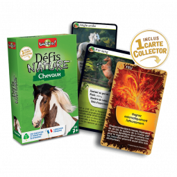 Défis Nature Chevaux Bioviva Ikaipaka jeux & jouets Royan